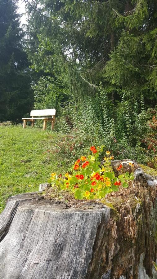 Appartement Leh Annaberg im Lammertal Kültér fotó