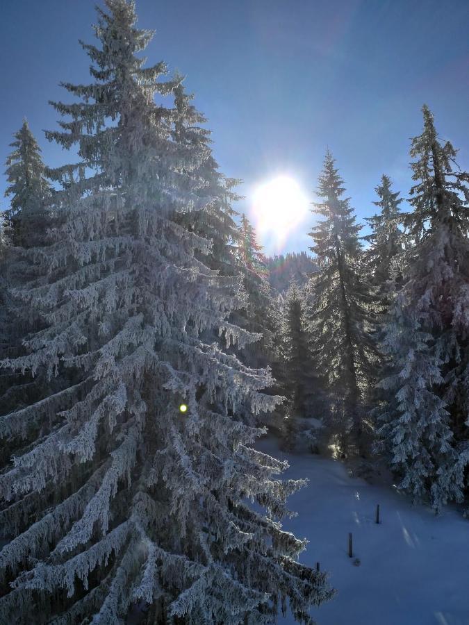 Appartement Leh Annaberg im Lammertal Kültér fotó