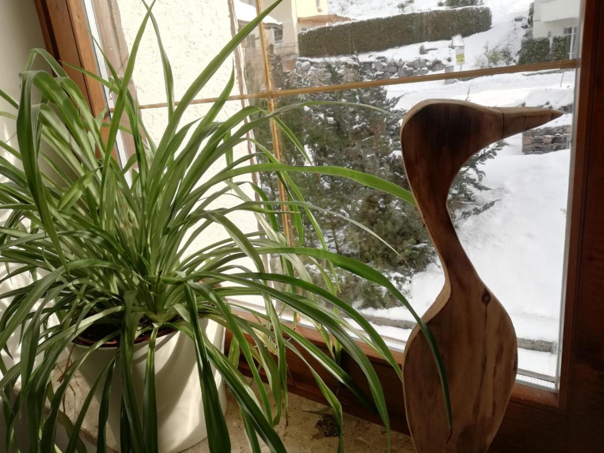 Appartement Leh Annaberg im Lammertal Kültér fotó